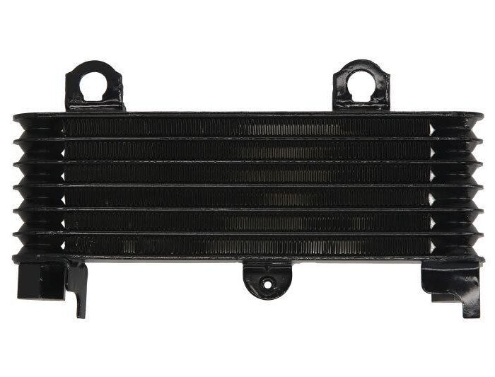 Ψυγείο Λαδιού για Suzuki DL1000 V-Strom (2001-2012)4Ride