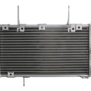 Ψυγείο Λαδιού για Suzuki DL1000 V-Strom (2001-2012)4Ride